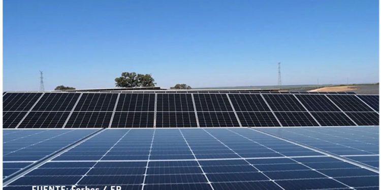 Acciona Energía suministrará en México 100 GW anuales de energía renovable a Berry Global