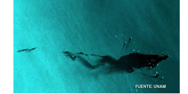 Precios del petróleo suben; oferta ajustada contrarresta expectativas de alza de tasas