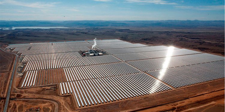 Precio del gas LP acumula caída de 9.8% en el 2023