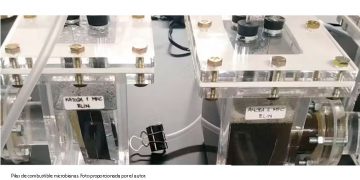 Austeridad retrasó el proyecto insignia de Dos Bocas