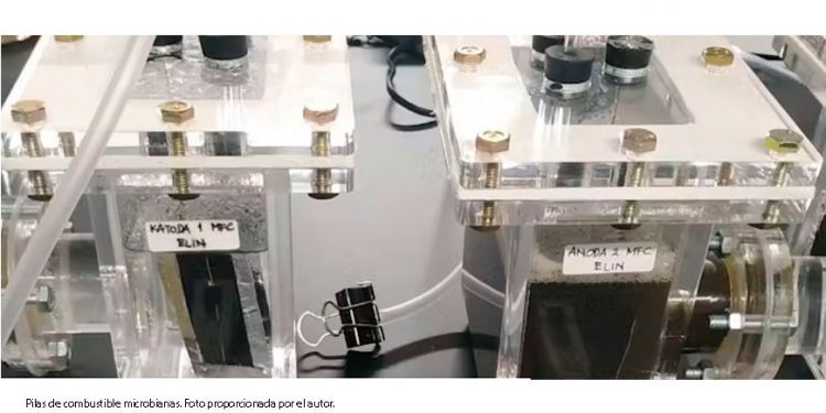 Austeridad retrasó el proyecto insignia de Dos Bocas