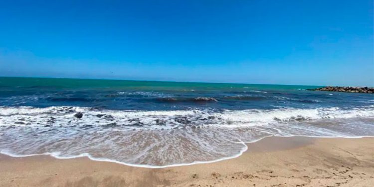 Pemex y ASEA debe responder por presencia de hidrocarburo en el golfo de México, experto