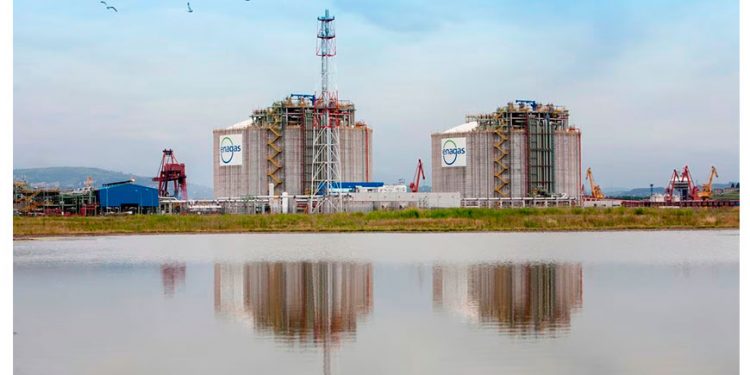 Internacional: Enagás dibuja el futuro del hidrógeno verde