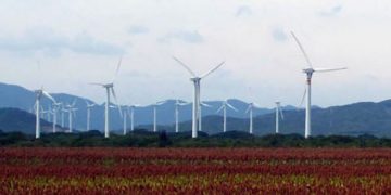 México detiene 400 MW de proyectos y se anota su peor año en la adopción de energía eólica