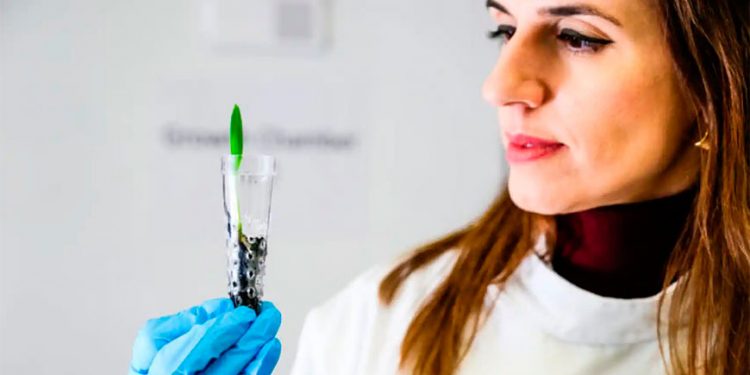 Internacional: El invento que cambiará la agricultura: ahorra agua y dispara un 50% la cosecha usando electricidad