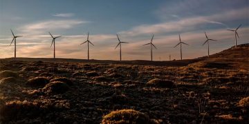 Internacional: Las renovables superarán al carbón en 2025 como principal fuente de electricidad en el mundo