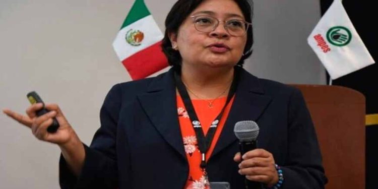 Proponen impulsar políticas públicas para utilizar energías renovables en generación de energía
