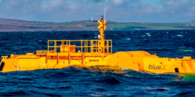 Internacional: Este es el animal gigante que nos va a ayudar a absorber la electricidad del mar: da auténtico miedo y se ve desde kilómetros