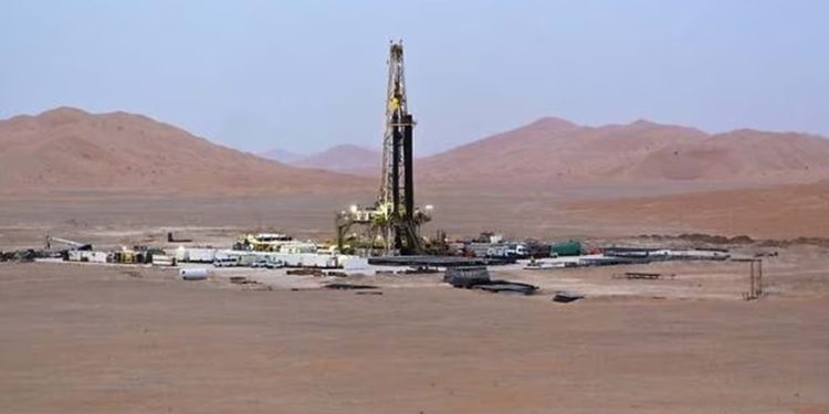 Internacional: Argelia anuncia el descubrimiento de ocho yacimientos de petróleo y gas «grandes y muy importantes»