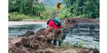 ¿Quién es Luz Elena González Escobar, la futura titular de la Sener?