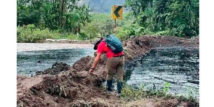 ¿Quién es Luz Elena González Escobar, la futura titular de la Sener?
