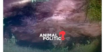 Fuga de ducto de Pemex desemboca en río San Marcos en Puebla; se mantiene vigilancia en la zona