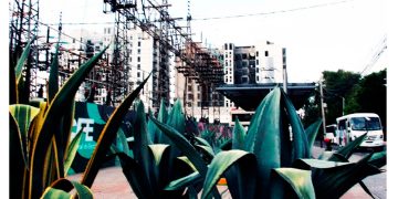 CFE acelera acciones para reducir gases de efecto invernadero antes de 2030