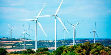 Cenace pide ajustar calendario de cuidados a plantas de luz