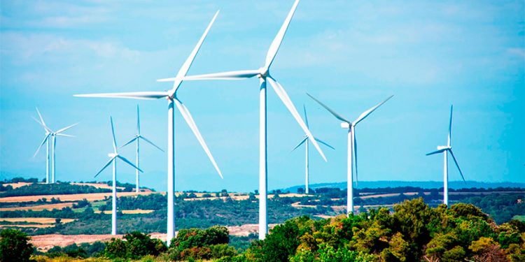 Cenace pide ajustar calendario de cuidados a plantas de luz