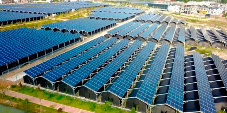Internacional: España da ejemplo al mundo con el primer «barrio fotovoltaico»: electricidad gratis y 1 millón de kWh