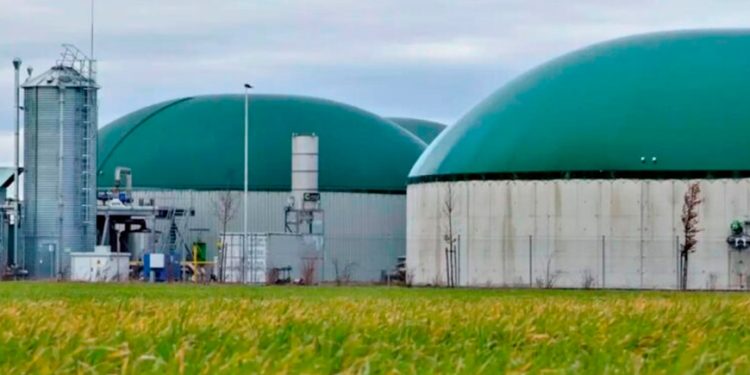 Internacional: España, ante un error al producir este gas contaminante: 140 000 toneladas y 75 GWh cada año