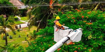 Quintana Roo es el estado que menos recibió inversión en energía eléctrica: Cenace
