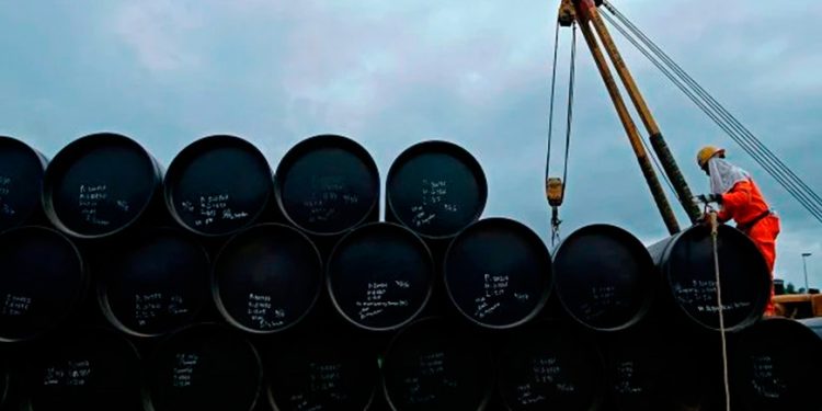 Hacia 2050, dependencia de combustibles fósiles continuará: excomisionada de la CNH