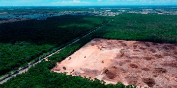 CFE inicia obra de infraestructura eléctrica en Quintana Roo antes de recibir autorización ambiental