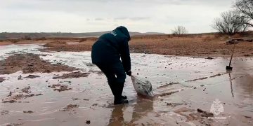 Internacional: Un derrame ruso de petróleo en el Mar Negro contamina 50 km de playas