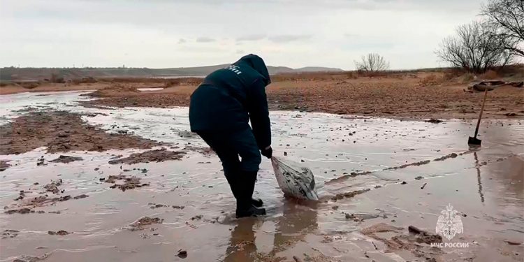 Internacional: Un derrame ruso de petróleo en el Mar Negro contamina 50 km de playas