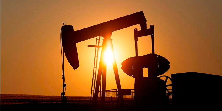 Internacional: Logran convertir los árboles en generadores de energía: es un hito para la humanidad