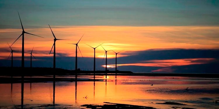 Internacional: Trump se opone a energía eólica marina y solicita revisión de permisos en la costa este