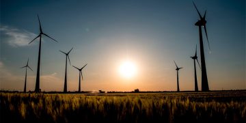 Ordena INAI a CRE entregar información sobre parques eólicos en Oaxaca