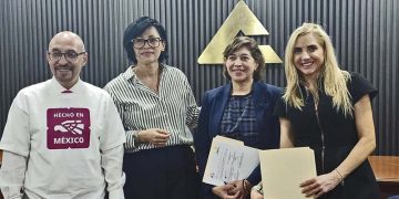 Impulso a la transición energética en México SUBIR