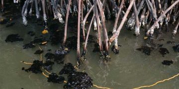 Contaminación en Tabasco: Derrame de hidrocarburos pega a municipios costeros