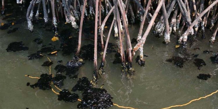 Contaminación en Tabasco: Derrame de hidrocarburos pega a municipios costeros