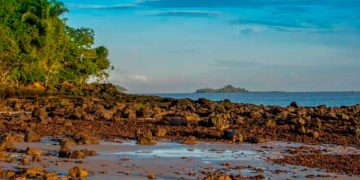 Brasil dice NO a las subastas de petróleo que ponen en peligro la desembocadura del río Amazonas