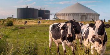 El biogás podría cubrir un cuarto de la demanda mundial de gas natural
