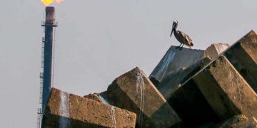 Pemex busca desarrollar proyectos de gas licuado: ¿En qué zona del país los evalúa?