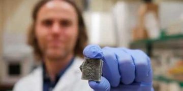 Crean un material basado en algas capaz de generar electricidad y a la vez ignífugo