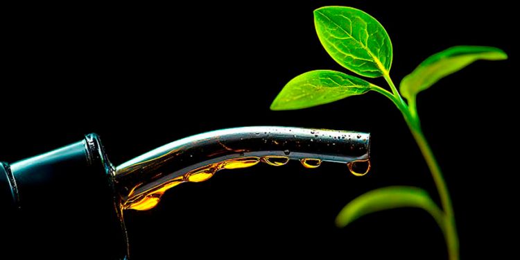 Impulsa Pemex proyectos para disminuir su impacto ambiental y fortalecer la seguridad energética