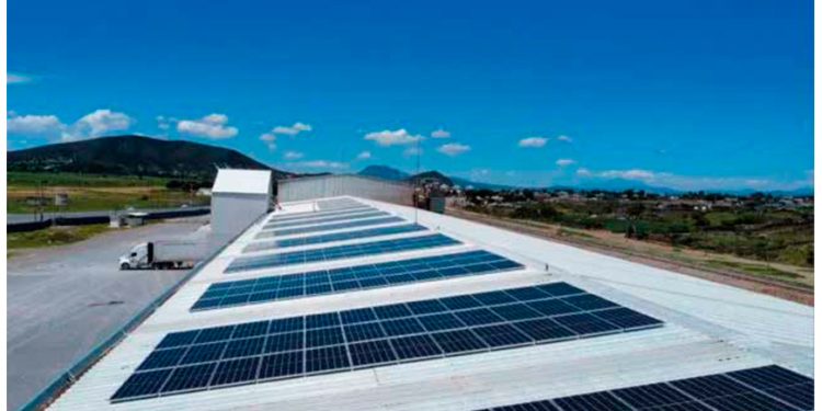 Expansión de energía solar en la UE se desacelera por primera vez en una década, gobiernos recortan subsidios