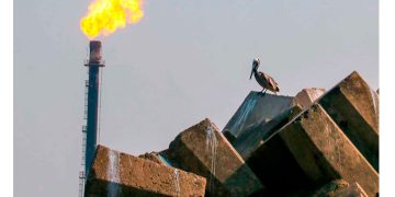 Pemex toma oxígeno financiero: gana utilidades, paga a proveedores y planea inversión