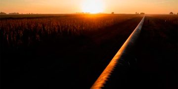 Exportaciones de hidrocarburos de Argentina podrían superar los 6.000 MM en 2025: cámara