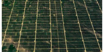 Una de las zonas más áridas de China está reverdeciendo. El motivo: una planta con siete millones de paneles solares