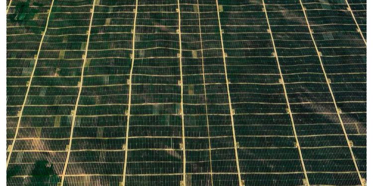 Una de las zonas más áridas de China está reverdeciendo. El motivo: una planta con siete millones de paneles solares