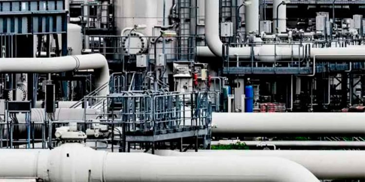 La UE podría abandonar el gas ruso en un año, afirma el jefe de energía de Estados Unidos