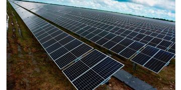Energía solar no sólo ayuda a la transición, sino a reducir la pobreza energética: Sener