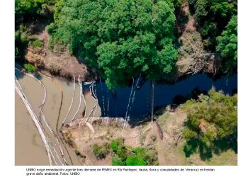 Exige UNBIO remediación inmediata en Río Pantepec, tras severo derrame de Pemex