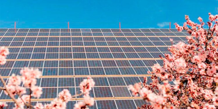 El Sol se convierte en la principal fuente de electricidad en la UE por primera vez