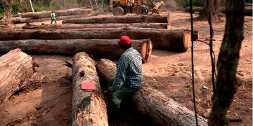 Bolivia apunta a explotar la Amazonia para salir de la crisis de hidrocarburos