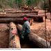 Bolivia apunta a explotar la Amazonia para salir de la crisis de hidrocarburos