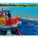 Gobierno limpia río contaminado por derrame de hidrocarburo en Veracruz