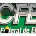 CFE realizó una exitosa emisión de CEBURES con etiqueta sustentable y alcanzó una demanda histórica